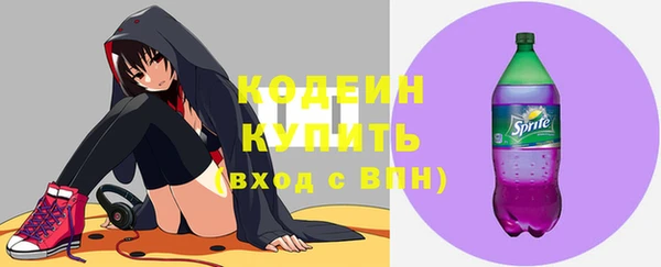 крисы Няндома