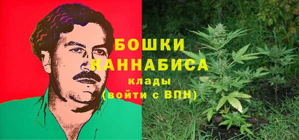 стаф Бородино