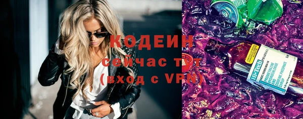крисы Няндома