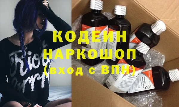 крисы Няндома