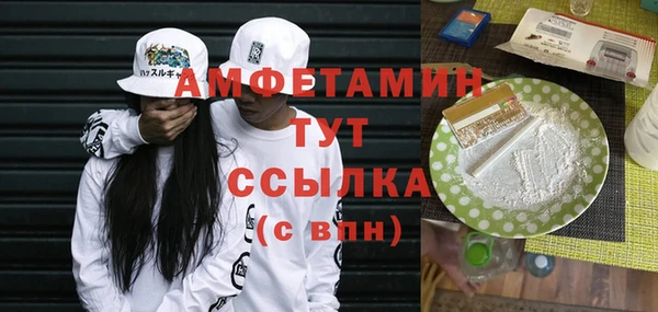 крисы Няндома