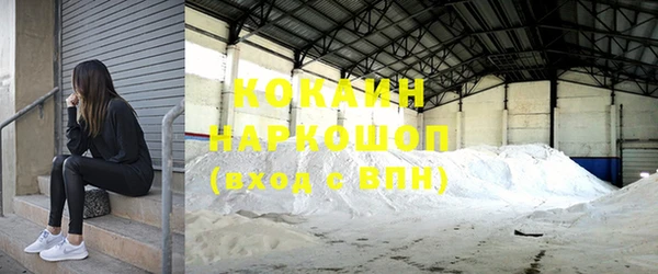 крисы Няндома