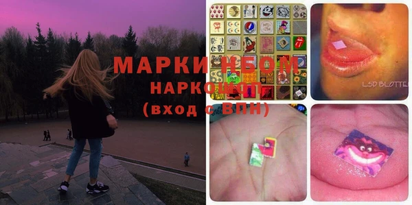 крисы Няндома