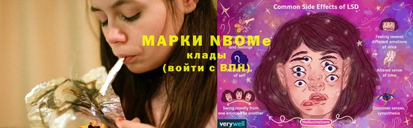 крисы Няндома