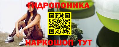 мяу мяу мука Аргун
