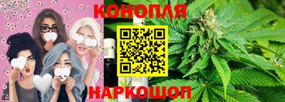 крисы Апшеронск