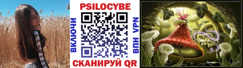 Псилоцибиновые грибы мицелий  наркота  Великий Новгород 