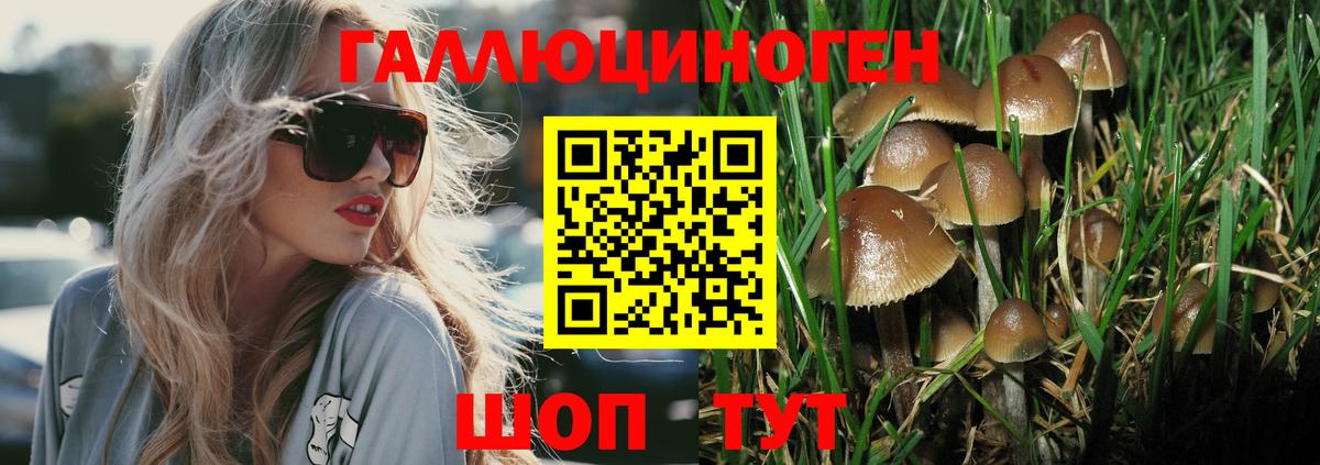 Галлюциногенные грибы прущие грибы  Галлюциногенные грибы MAGIC MUSHROOMS  Великий Новгород 