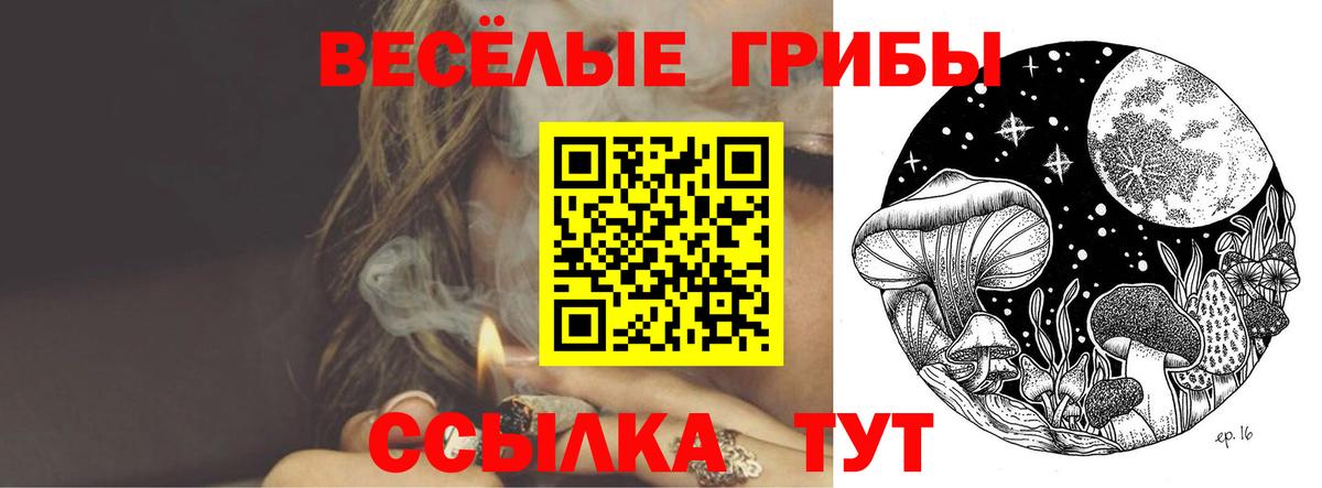 Галлюциногенные грибы мицелий  Вход с VPN  Великий Новгород 